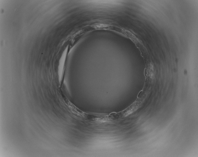 X0000075900763200610062117