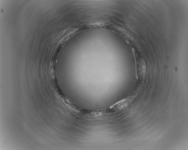 X0000075900764200610062117