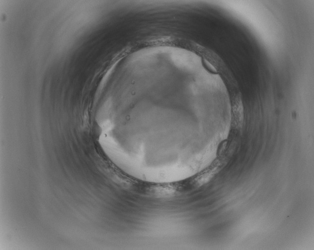 X0000075900765200610062118