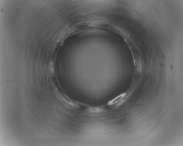 X0000075900766200610062118