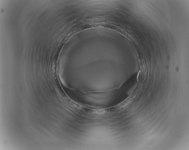 X0000075900767200610062118