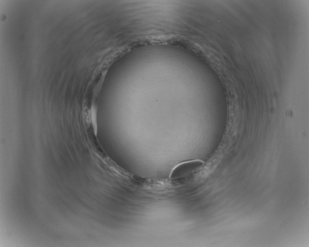 X0000075900768200610062118