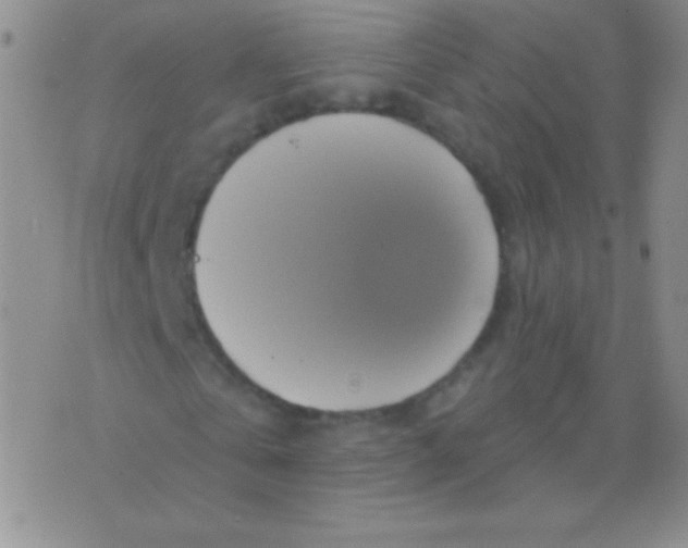 X0000075900769200610062117