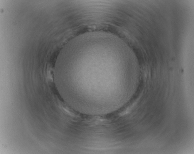 X0000075900770200610062117