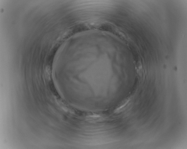 X0000075900772200610062117