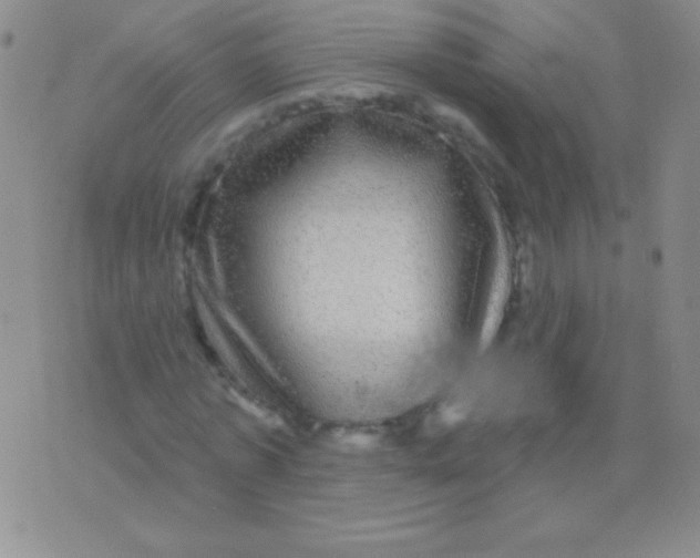 X0000075900773200610062117