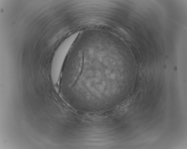 X0000075900774200610062117