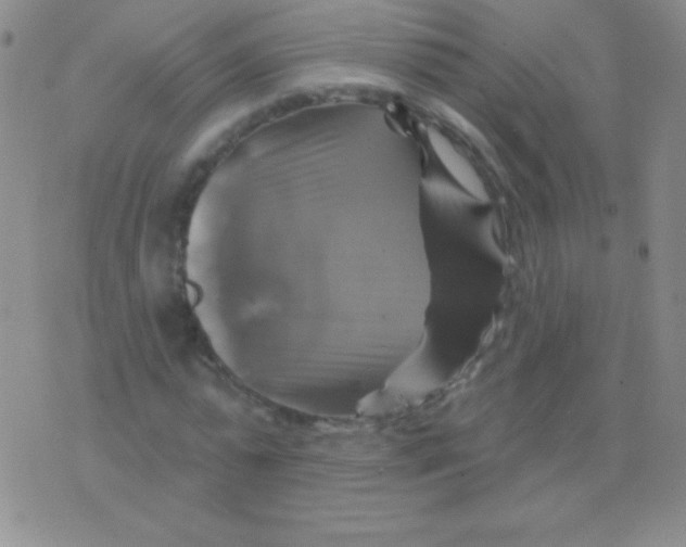 X0000075900775200610062117