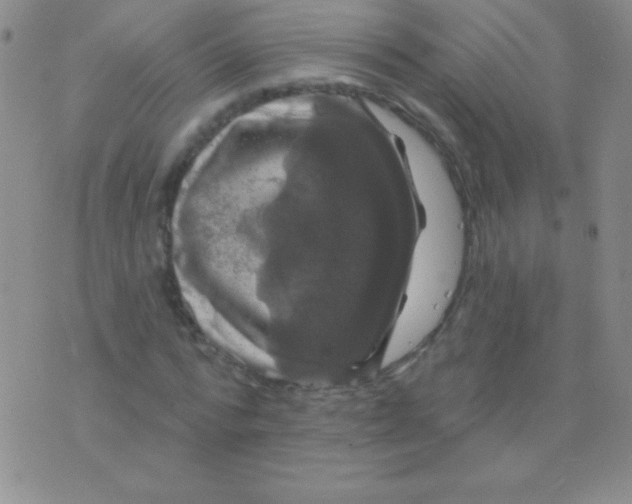 X0000075900776200610062117