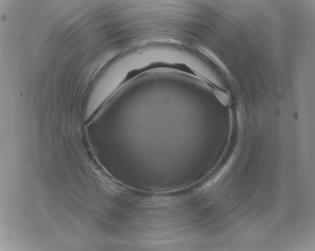 X0000075900777200610062117