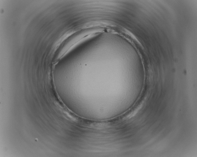 X0000075900778200610062117