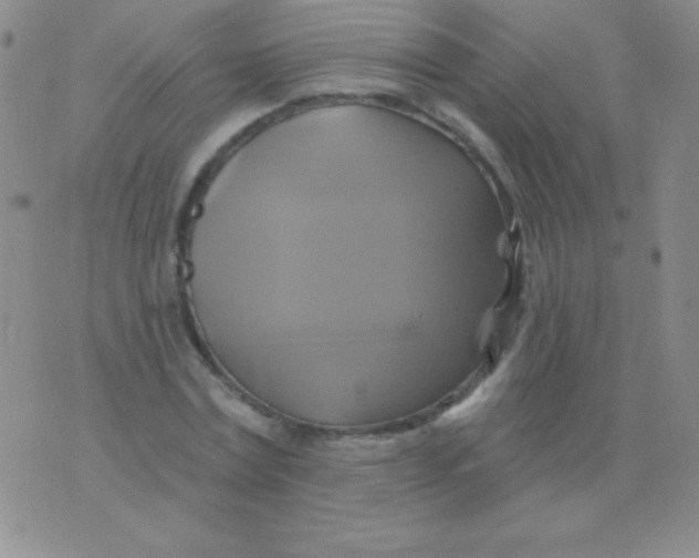 X0000075900779200610062117