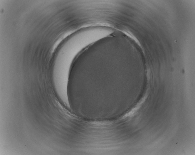 X0000075900781200610062117