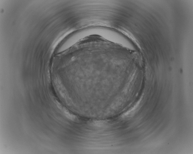 X0000075900782200610062117