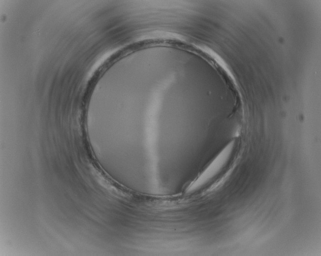 X0000075900783200610062117