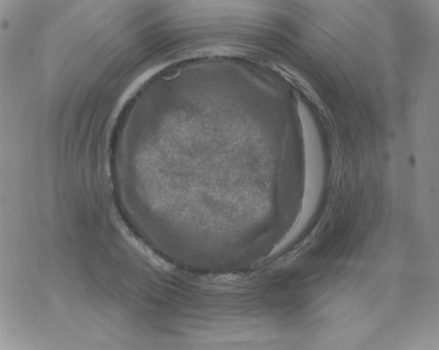 X0000075900784200610062117