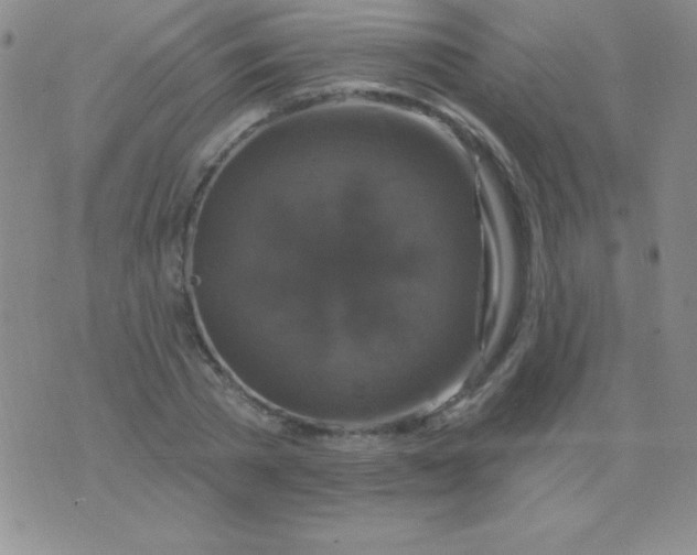 X0000075900785200610062117