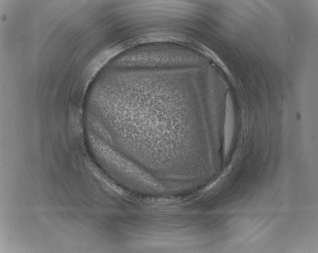 X0000075900786200610062117