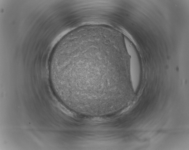 X0000075900787200610062116