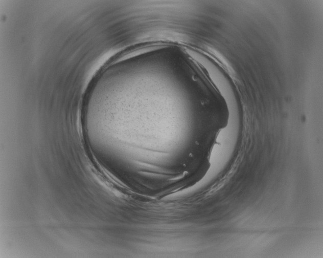 X0000075900788200610062116