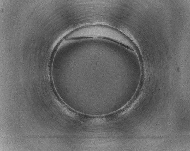 X0000075900789200610062116