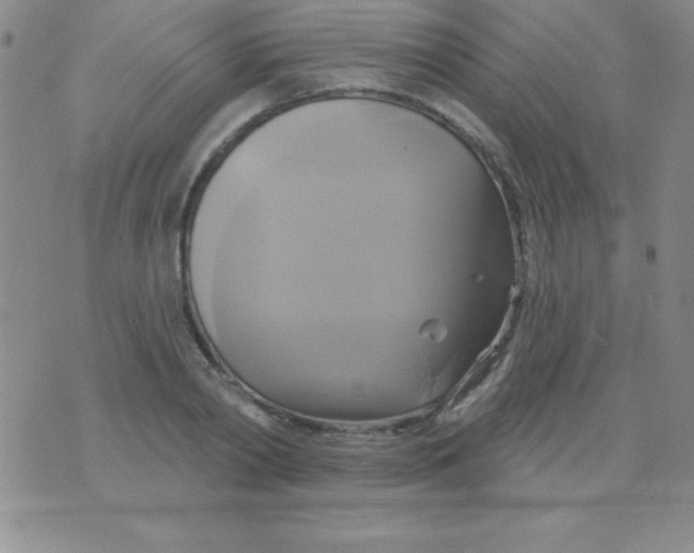 X0000075900790200610062116