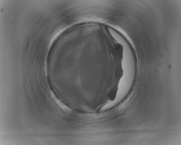 X0000075900791200610062116