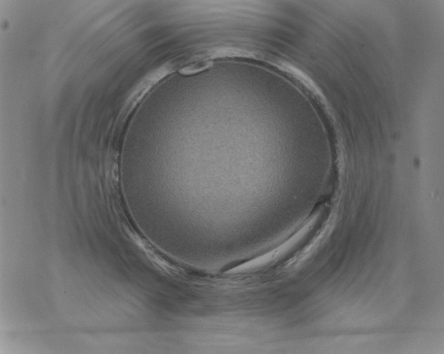 X0000075900793200610062116