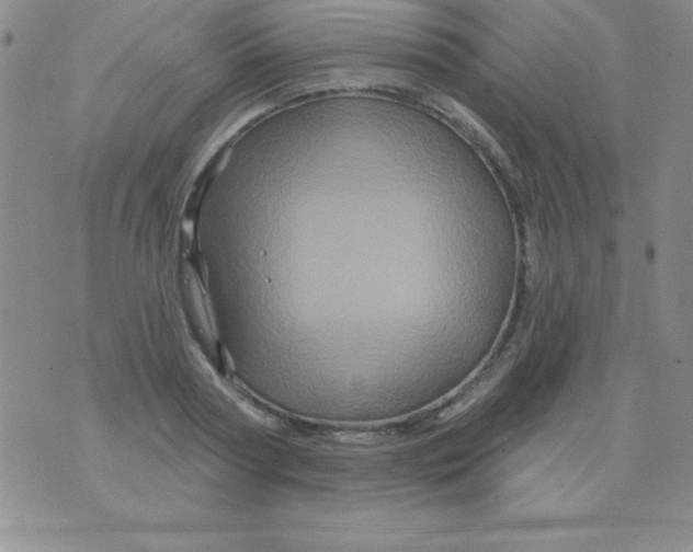 X0000075900794200610062116