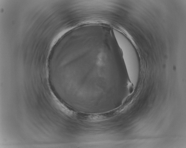 X0000075900795200610062116