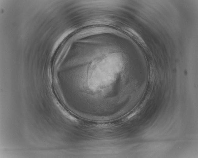 X0000075900796200610062116