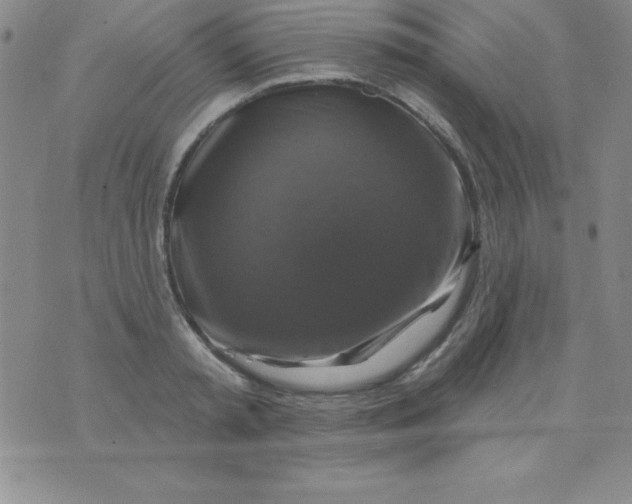 X0000075900797200610062116