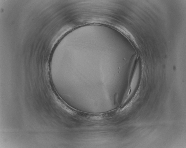 X0000075900798200610062116