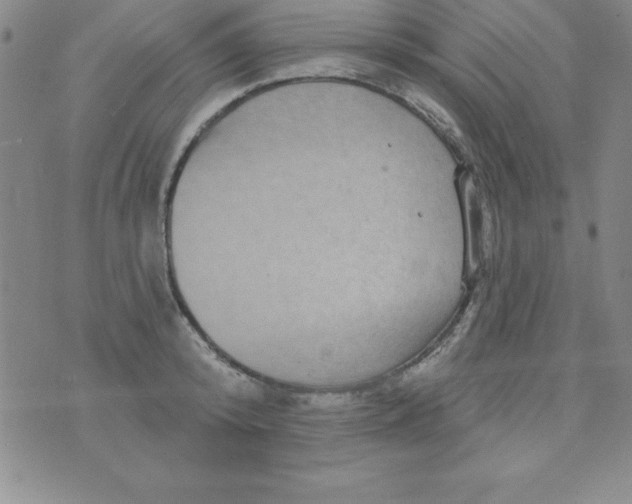 X0000075900800200610062116