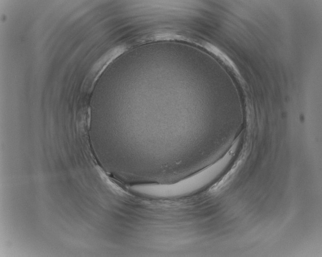 X0000075900801200610062116