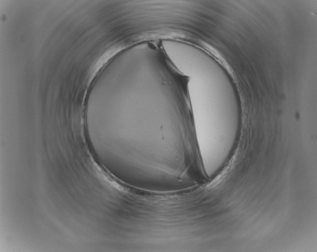 X0000075900802200610062116