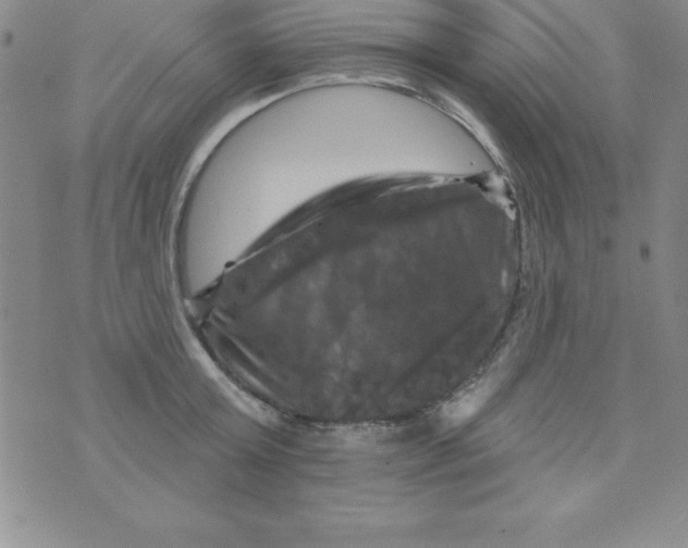 X0000075900803200610062116