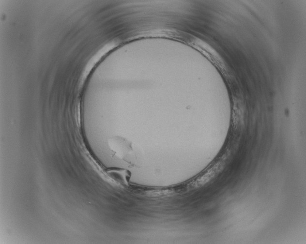 X0000075900804200610062116