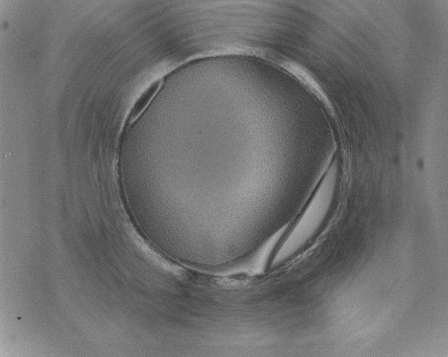 X0000075900805200610062116