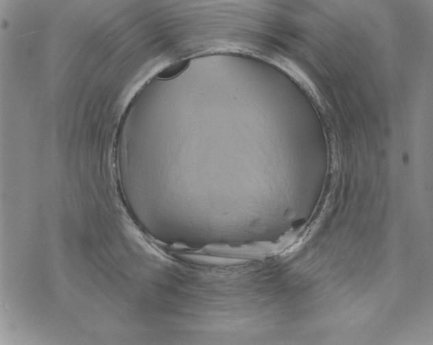 X0000075900806200610062116