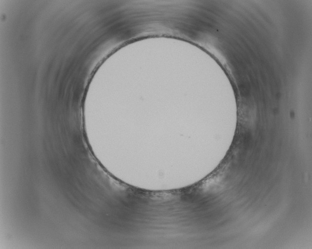 X0000075900807200610062116