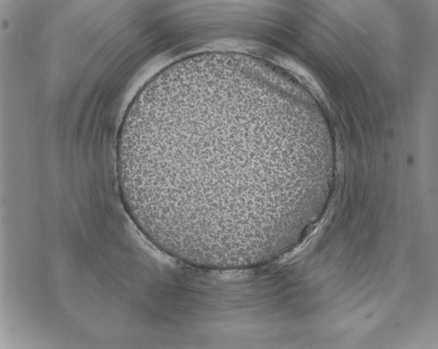 X0000075900808200610062116