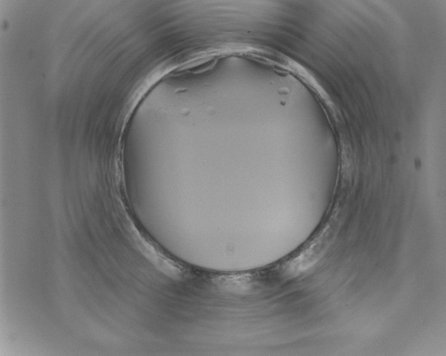 X0000075900810200610062116