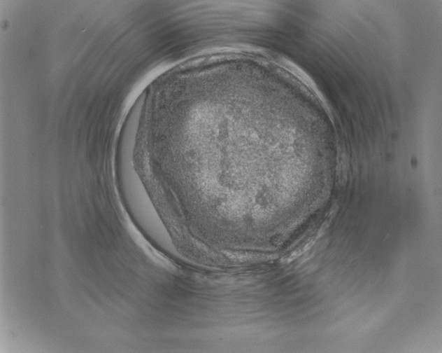 X0000075900811200610062116