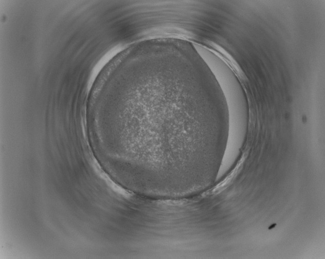 X0000075900812200610062116