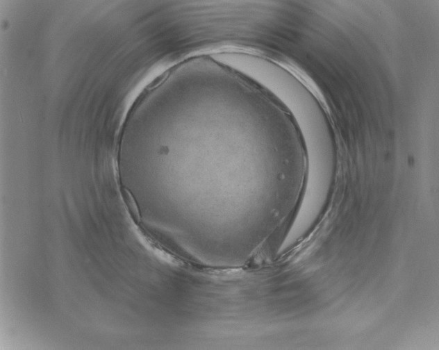 X0000075900813200610062116