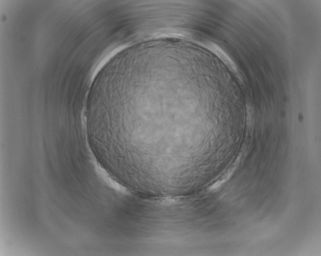 X0000075900814200610062116