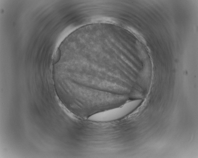 X0000075900816200610062116