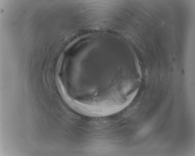 X0000075900817200610062115