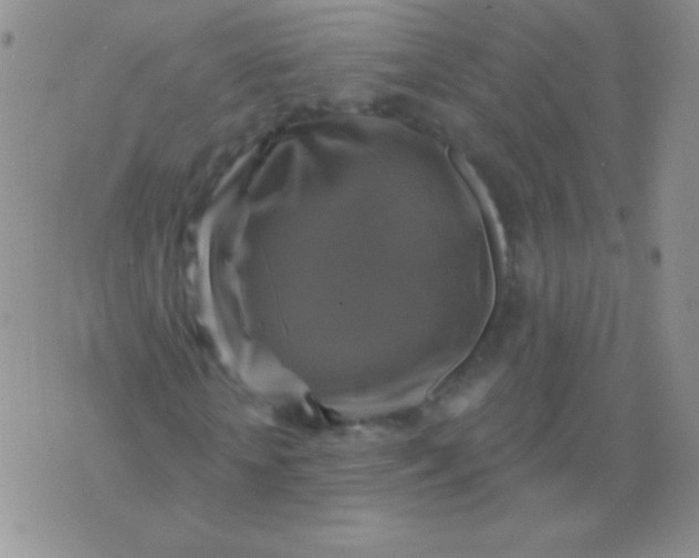 X0000075900818200610062115